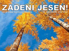zadeni jesen 2012